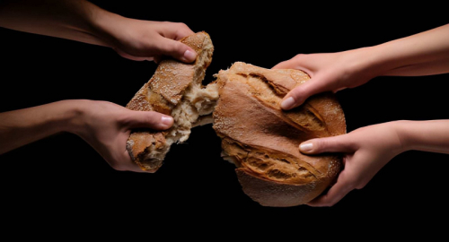 Anatomia di una crisi alimentare: la fragilit� del sistema globale e le strategie di sopravvivenza